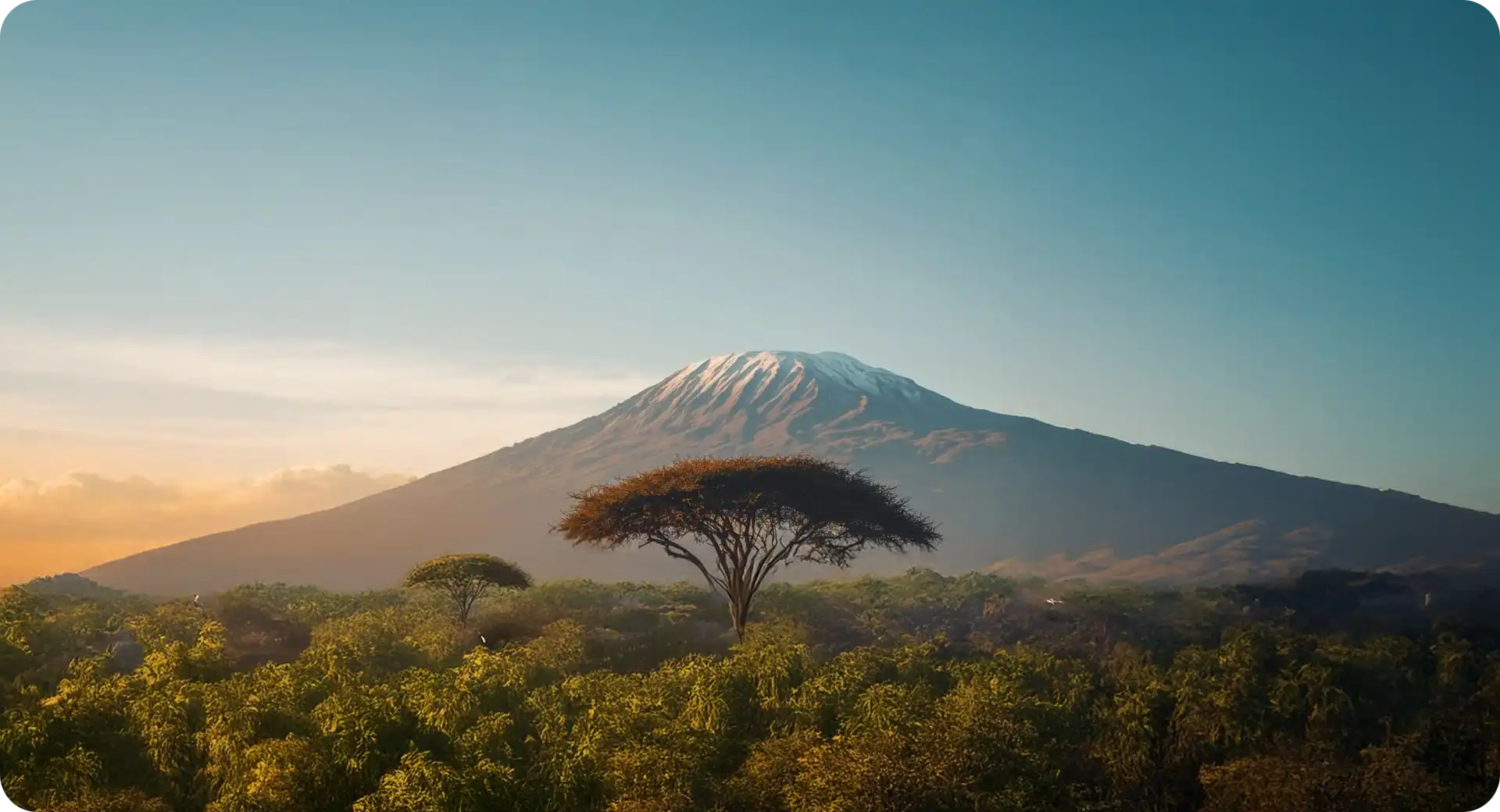 Huanda Cocoa production capacity and global market data visualization - cocoa powder supplier statistics